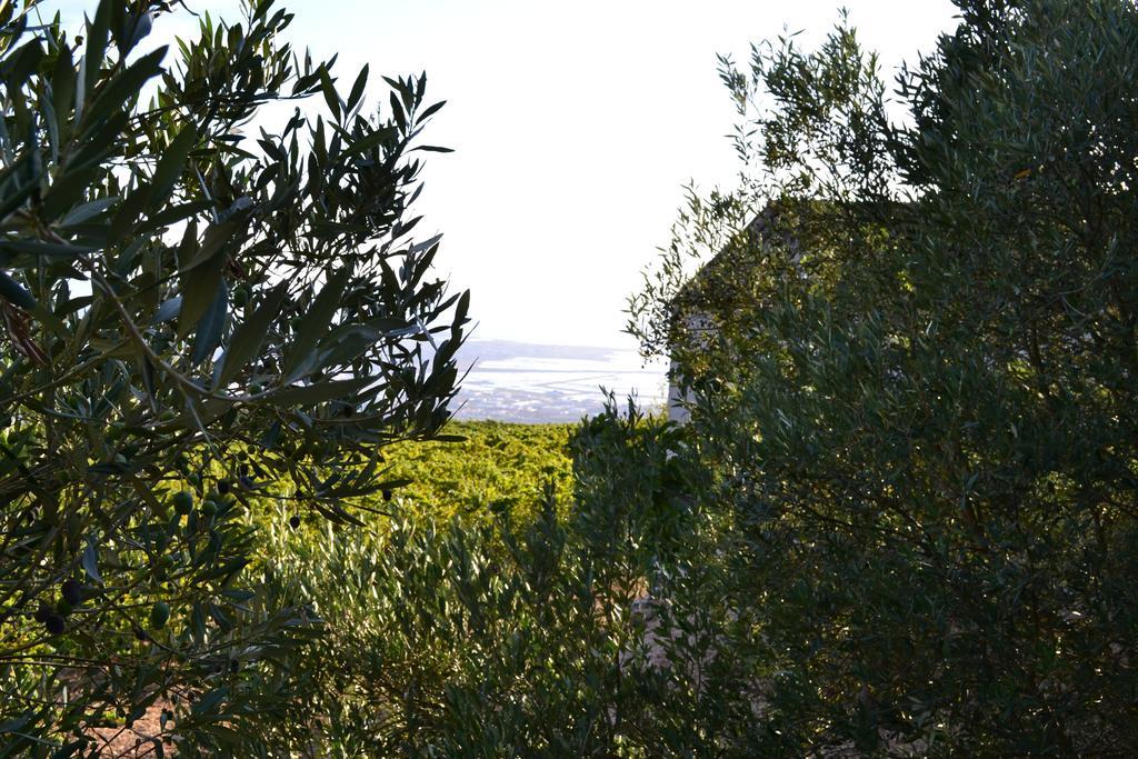 Casa Nel Vigneto Erice Casa de hóspedes Exterior foto